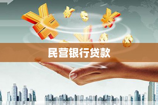 卢龙民营银行贷款