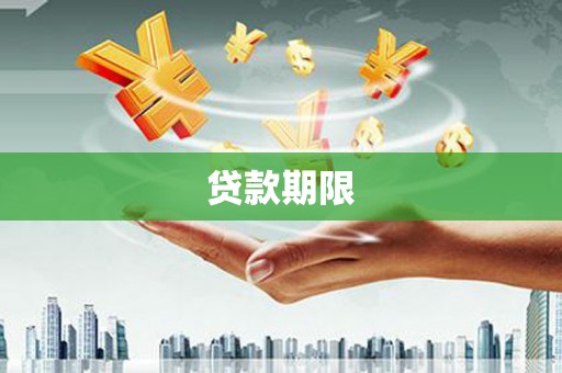 卢龙贷款期限