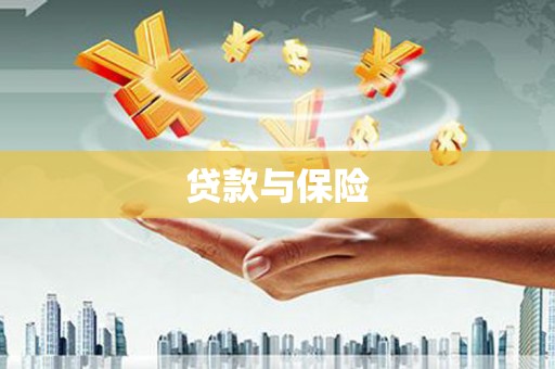 卢龙贷款与保险