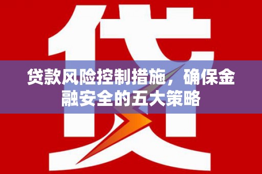 卢龙贷款风险控制措施，确保金融安全的五大策略