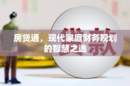 卢龙房贷通，现代家庭财务规划的智慧之选