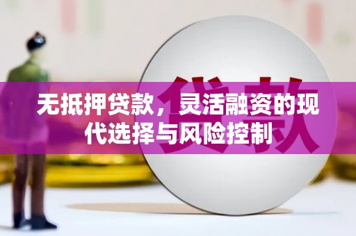 卢龙无抵押贷款，灵活融资的现代选择与风险控制