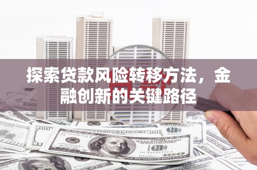 卢龙探索贷款风险转移方法，金融创新的关键路径