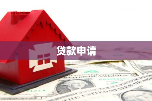 卢龙贷款申请