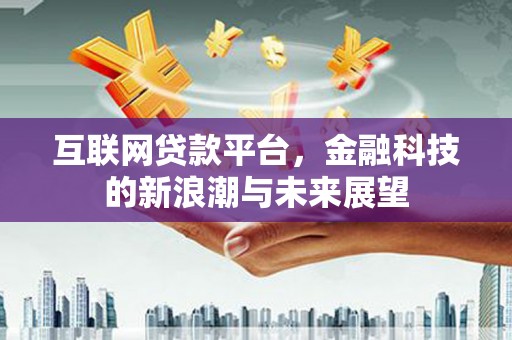 卢龙互联网贷款平台，金融科技的新浪潮与未来展望