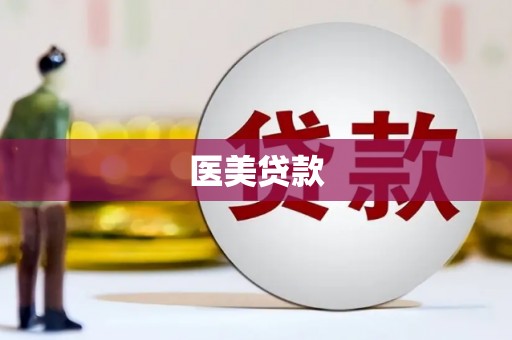 卢龙医美贷款