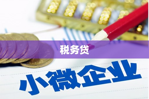 卢龙税务贷