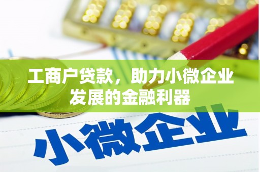 卢龙工商户贷款，助力小微企业发展的金融利器