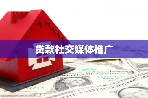 卢龙贷款社交媒体推广