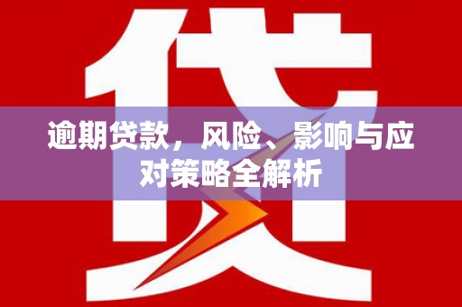 卢龙逾期贷款，风险、影响与应对策略全解析