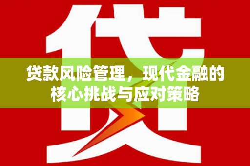 卢龙贷款风险管理，现代金融的核心挑战与应对策略