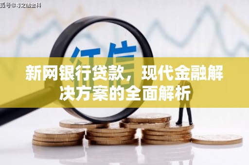 卢龙新网银行贷款，现代金融解决方案的全面解析