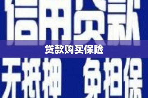 卢龙贷款购买保险