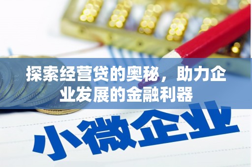 卢龙探索经营贷的奥秘，助力企业发展的金融利器