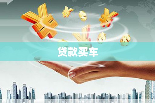 卢龙贷款买车