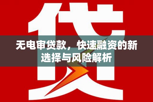 卢龙无电审贷款，快速融资的新选择与风险解析