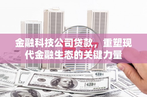 卢龙金融科技公司贷款，重塑现代金融生态的关键力量