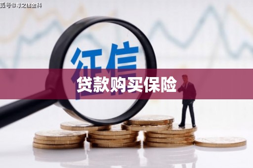 卢龙贷款购买保险