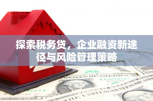 卢龙探索税务贷，企业融资新途径与风险管理策略