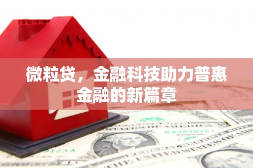 卢龙微粒贷，金融科技助力普惠金融的新篇章
