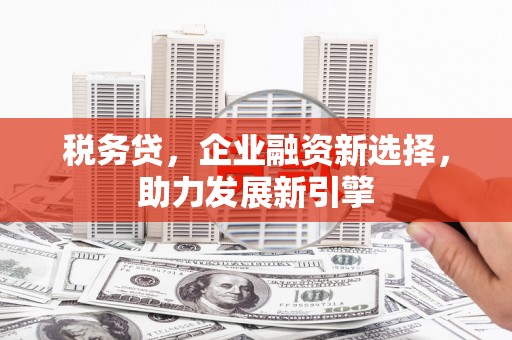 卢龙税务贷，企业融资新选择，助力发展新引擎