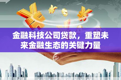 卢龙金融科技公司贷款，重塑未来金融生态的关键力量