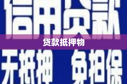 卢龙贷款抵押物