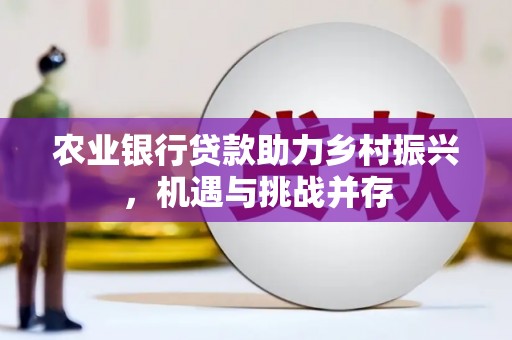 卢龙农业银行贷款助力乡村振兴，机遇与挑战并存