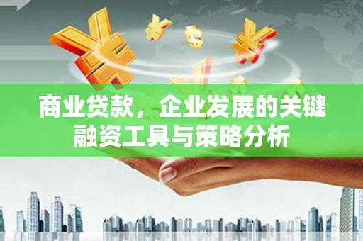 卢龙商业贷款，企业发展的关键融资工具与策略分析