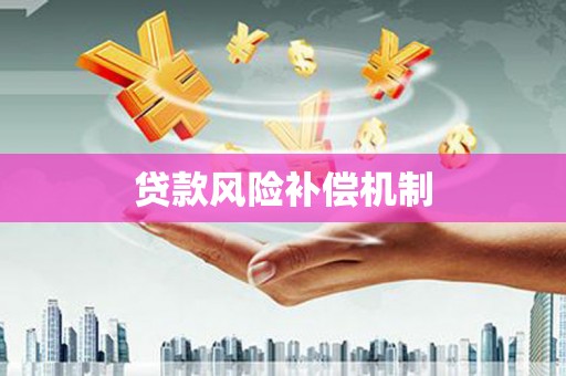 卢龙贷款风险补偿机制