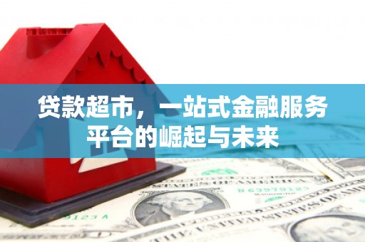 卢龙贷款超市，一站式金融服务平台的崛起与未来