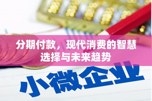 卢龙分期付款，现代消费的智慧选择与未来趋势
