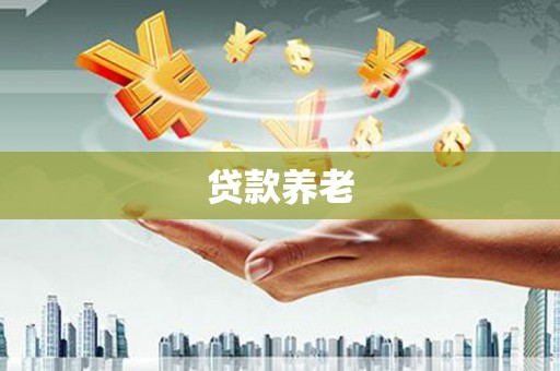 卢龙贷款养老