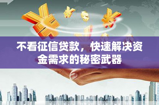 卢龙不看征信贷款，快速解决资金需求的秘密武器