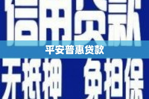 卢龙平安普惠贷款