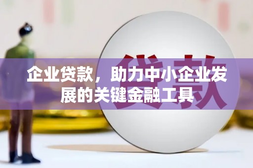 卢龙企业贷款，助力中小企业发展的关键金融工具