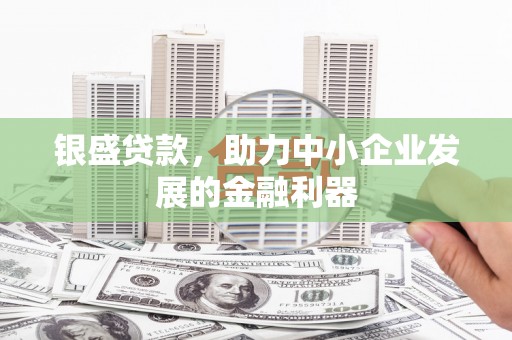 卢龙银盛贷款，助力中小企业发展的金融利器