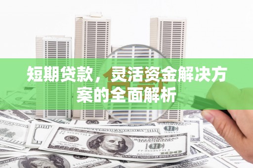 卢龙短期贷款，灵活资金解决方案的全面解析
