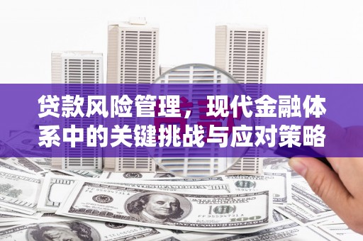 卢龙贷款风险管理，现代金融体系中的关键挑战与应对策略