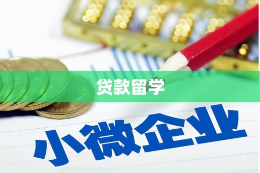 卢龙贷款留学