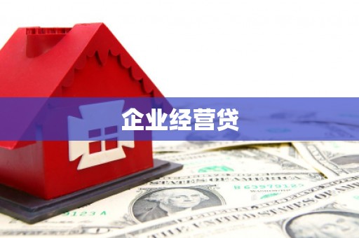 卢龙企业经营贷