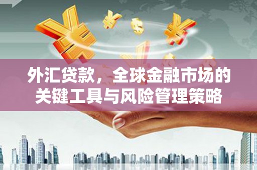 卢龙外汇贷款，全球金融市场的关键工具与风险管理策略