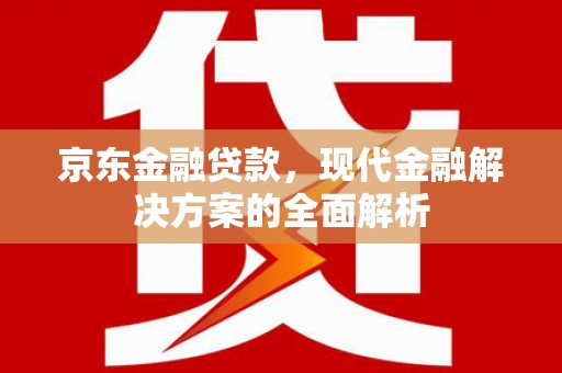 卢龙京东金融贷款，现代金融解决方案的全面解析