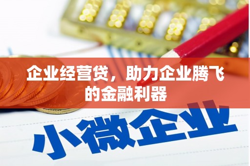 卢龙企业经营贷，助力企业腾飞的金融利器