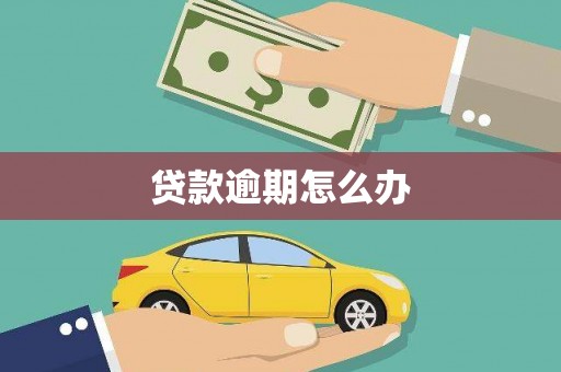 卢龙贷款逾期怎么办