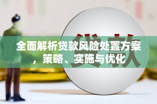 卢龙全面解析贷款风险处置方案，策略、实施与优化