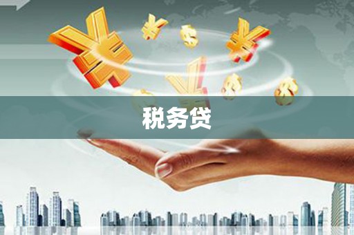 卢龙税务贷