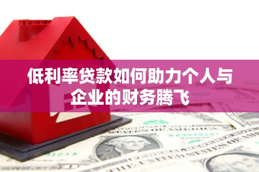 卢龙低利率贷款如何助力个人与企业的财务腾飞