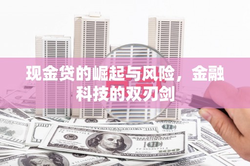 卢龙现金贷的崛起与风险，金融科技的双刃剑