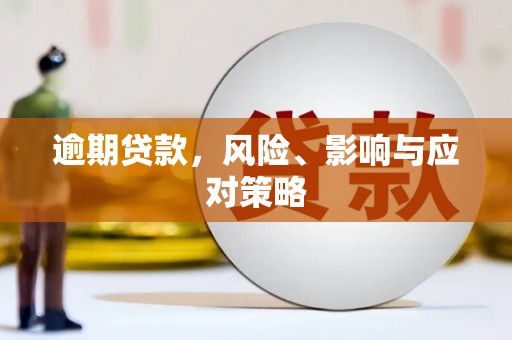 卢龙逾期贷款，风险、影响与应对策略